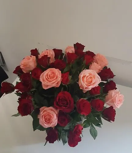 Bsuites Apartamento *